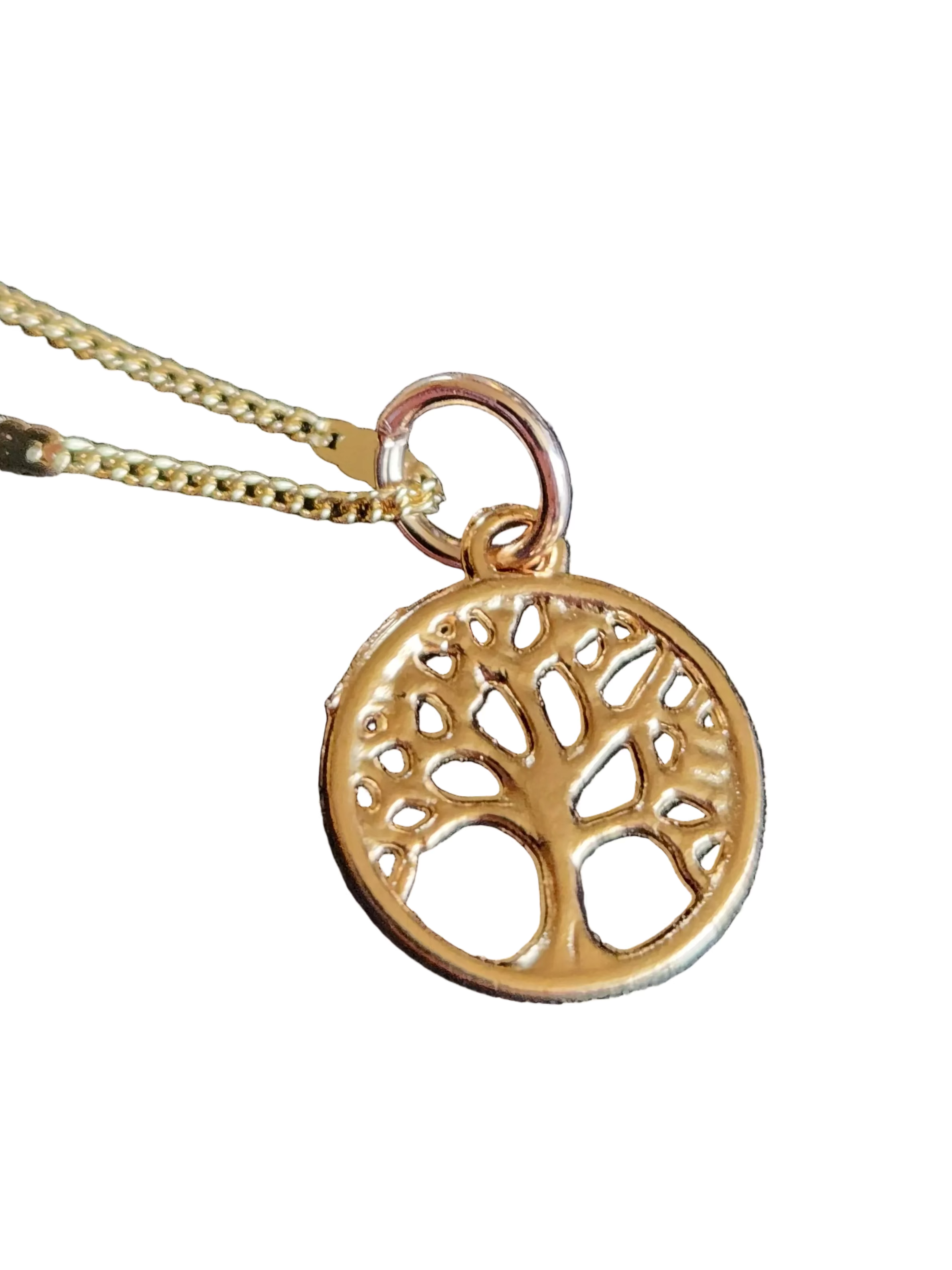 Charm Necklace