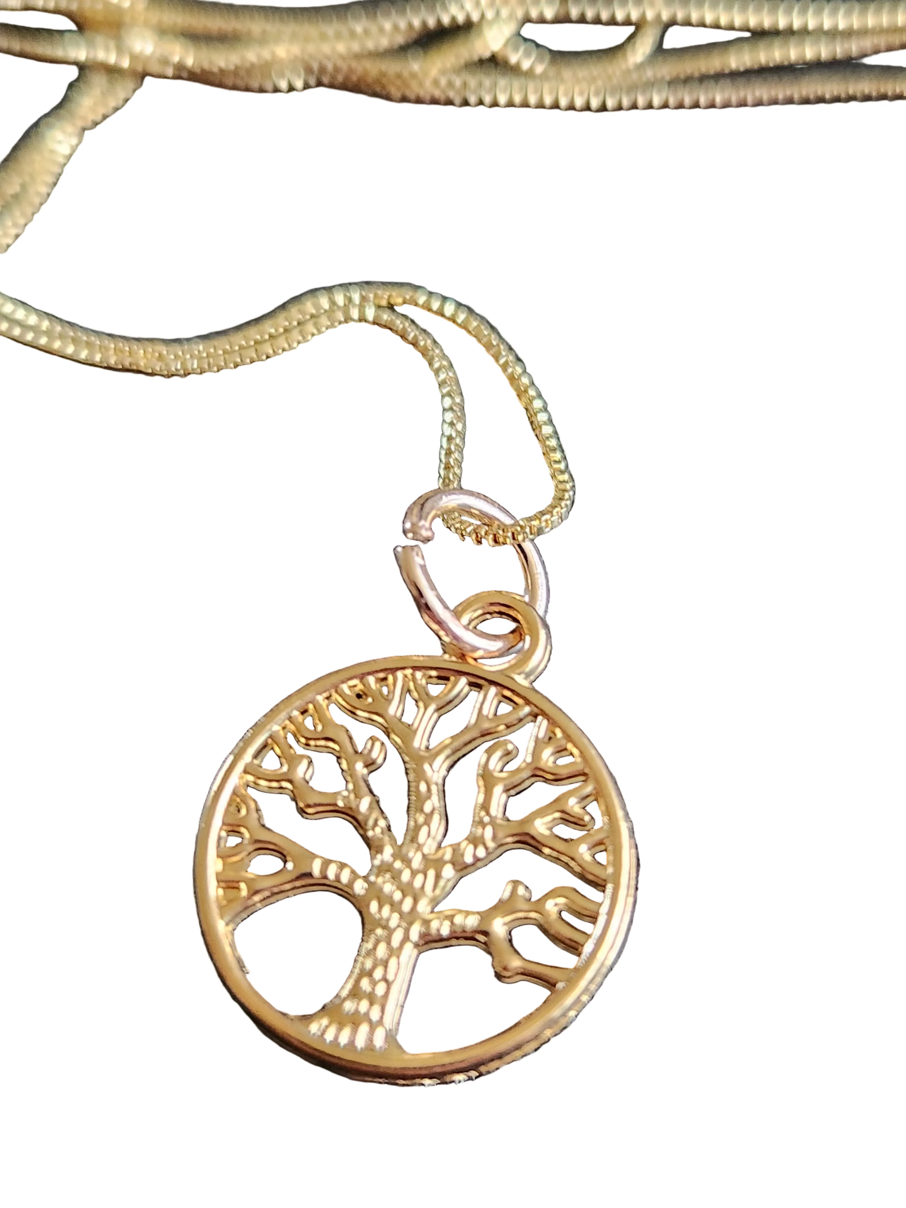 Charm Necklace